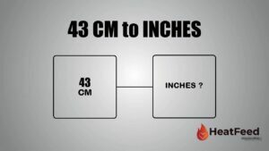 43 CM TO INCHES