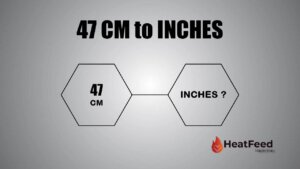 47 cm to inches