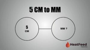 5 cm to mm