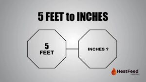 5 feet to inches