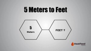 5 meters to feet