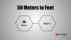 50 meters to feet