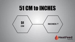51 cm to inches