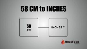 58 CM TO INCHES