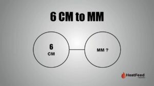 6 cm to mm