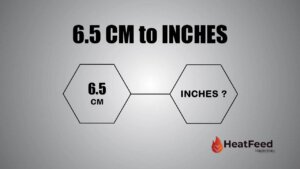 6.5 cm to inches