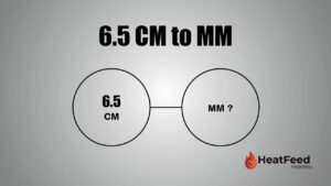 6.5 cm to mm