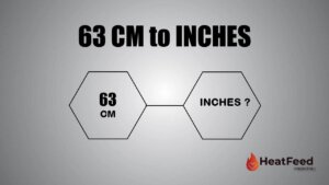 63 cm to inches