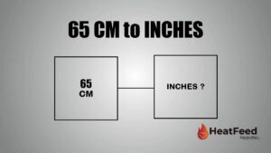 65 cm to inches