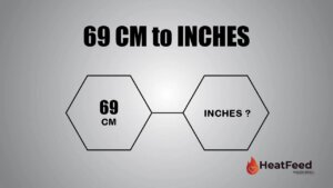 69 cm to inches