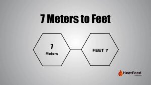 7 meters to feet