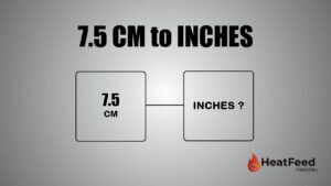 7.5 CM TO INCHES
