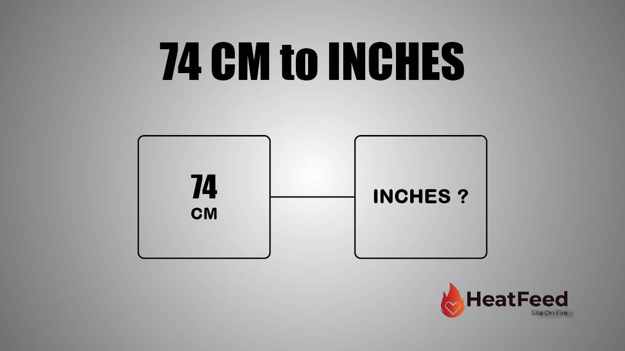 74 cm to inches