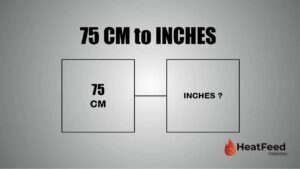75 cm to inches