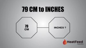 79 CM TO INCHES