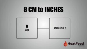 8 CM TO INCHES