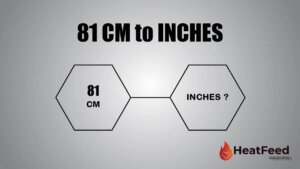 81 cm to inches