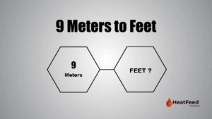 9 meters to feet