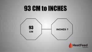 93 CM TO INCHES