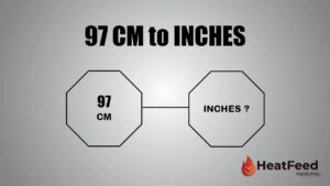 97 CM TO INCHES