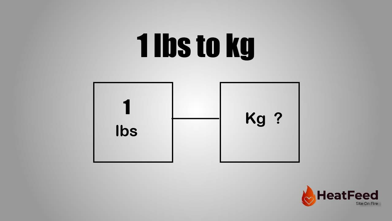 Convert 1 lb to kg