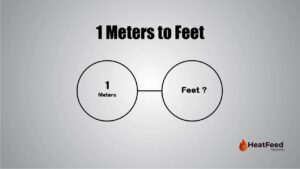 1 Meters to Feet