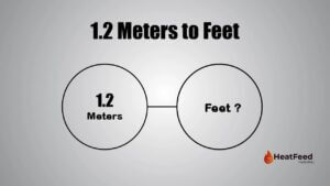 1.2 Meters to Feet