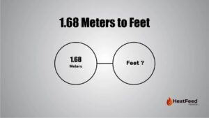 1.68 Meters to Feet