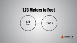 1.73 meters to feet
