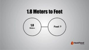 1.8 meters to feet