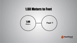 1.88 meters to feet