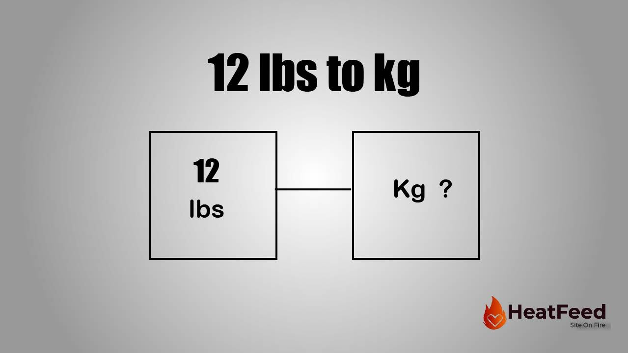 Convert 12 lbs to kg. 