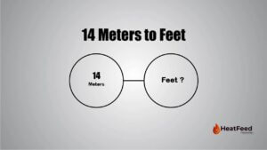 14 Meters to Feet