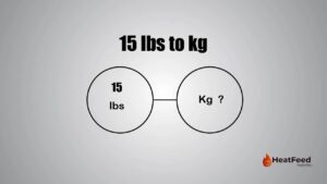 15 lbs to kg