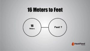 16 Meters to Feet