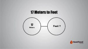 17 meters to feet