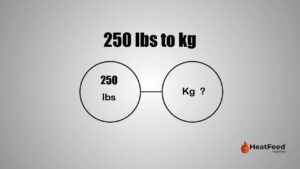 250 lbs to kg