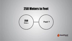 250 meters to feet