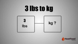 3 lbs to kg