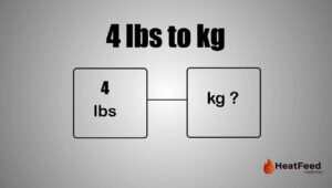 4 lbs to kg