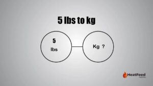 5 lbs to kg