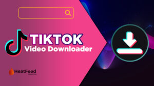 Descarregador de vídeo Tiktok
