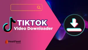 Загрузчик видео Tiktok