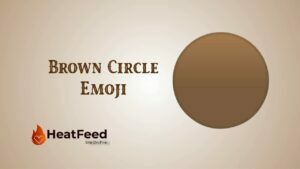 Brown Circle Emoji