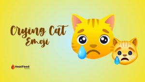 Crying Cat Emoji