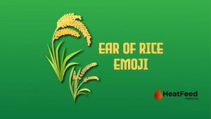 Ear of Rice