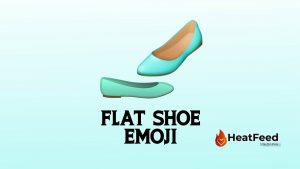 Flat Shoe1