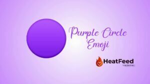 Purple Circle Emoji