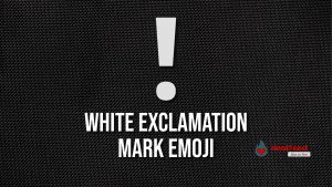 White Exclamation Mark Emoji