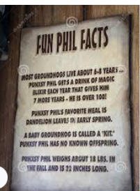 Groundhog Facts